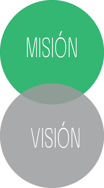 imgMisionVisionFEyRI